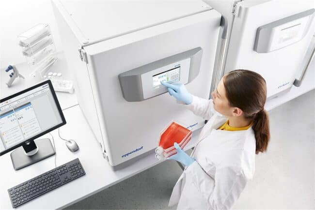 33ef157d218b851649e5c5ddbe86ec2dca9e6a7838efa-lTWiaM_fw1200