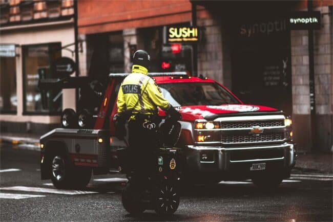 pexels-black-bird-1917944