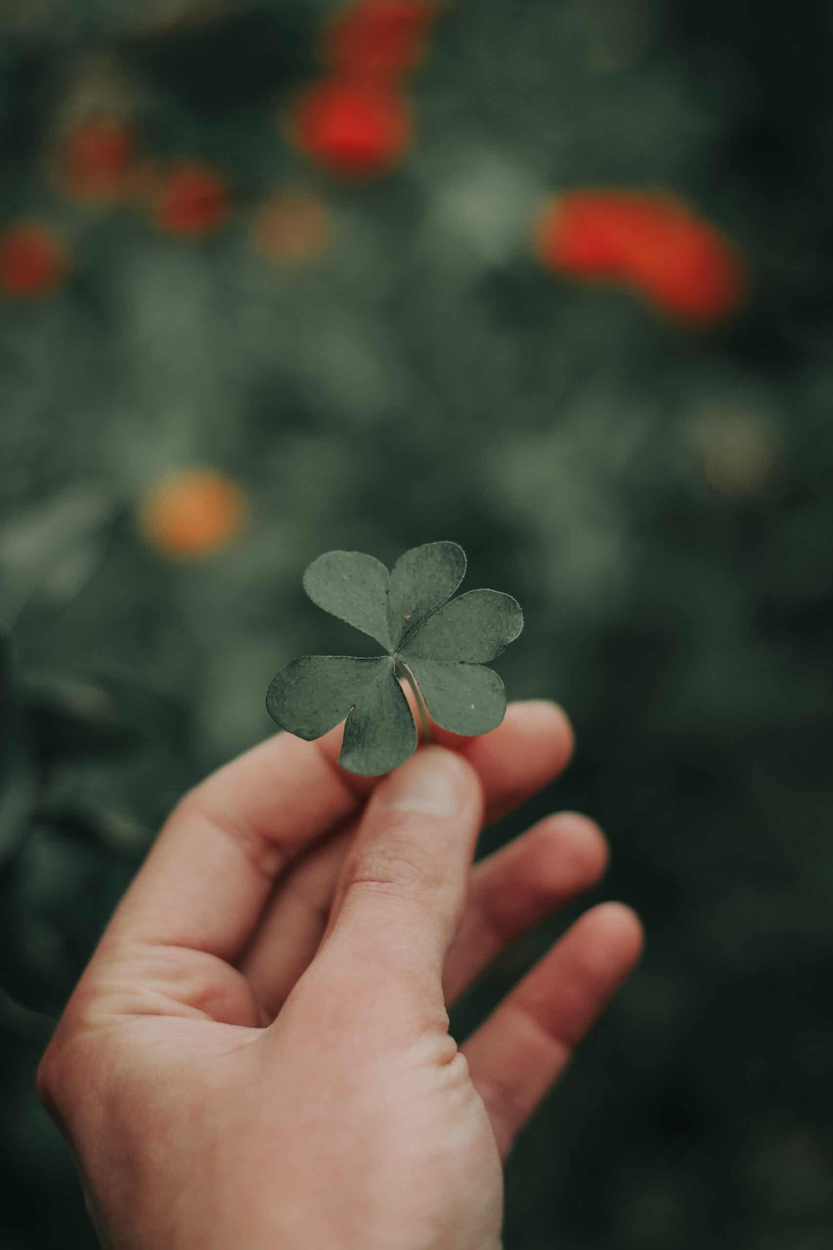 pexels-kadir-akman-16770473 pexels-kadir-akman-16770473